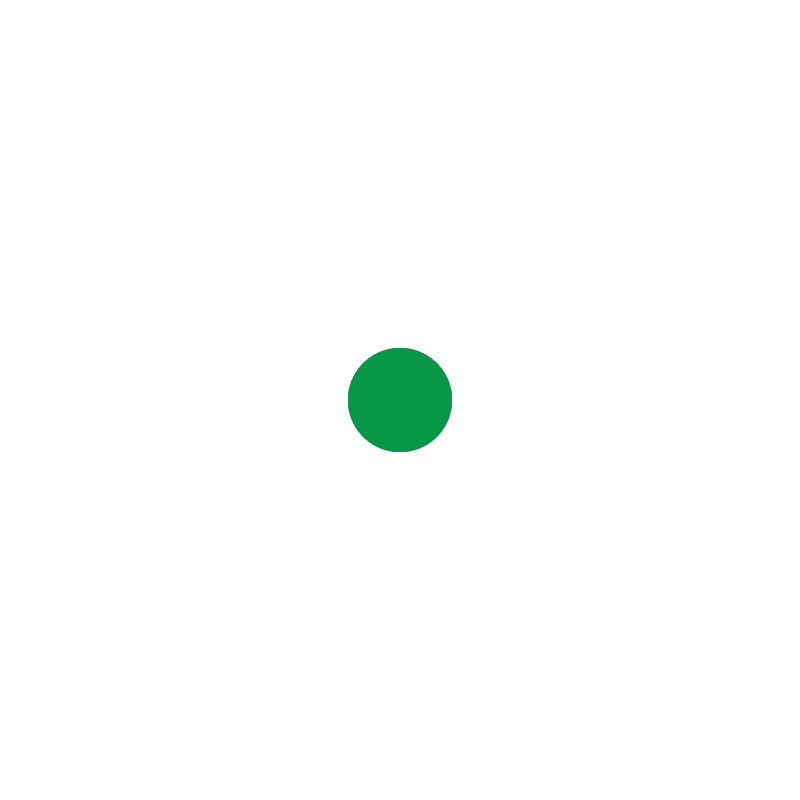 success icon